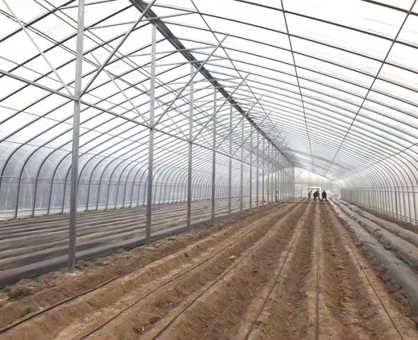 溫室骨架生產廠家