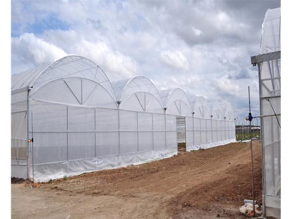 溫室大棚如何控制濕度？