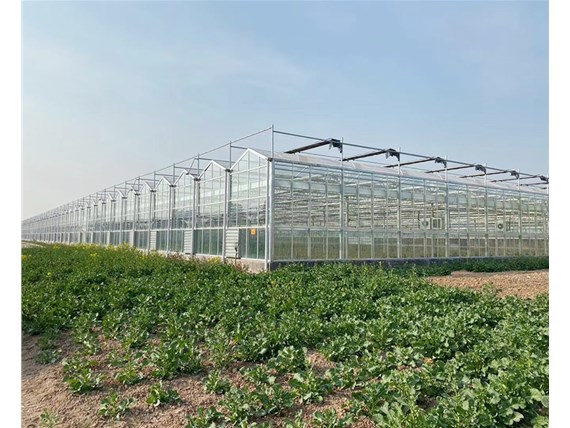 溫室骨架得到了廣泛的發(fā)展空間。