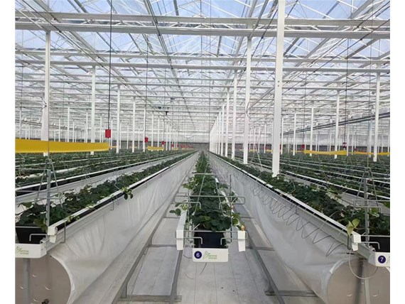 大棚骨架的優(yōu)點