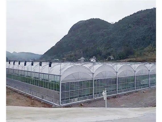 溫室大棚的優(yōu)點有哪些？