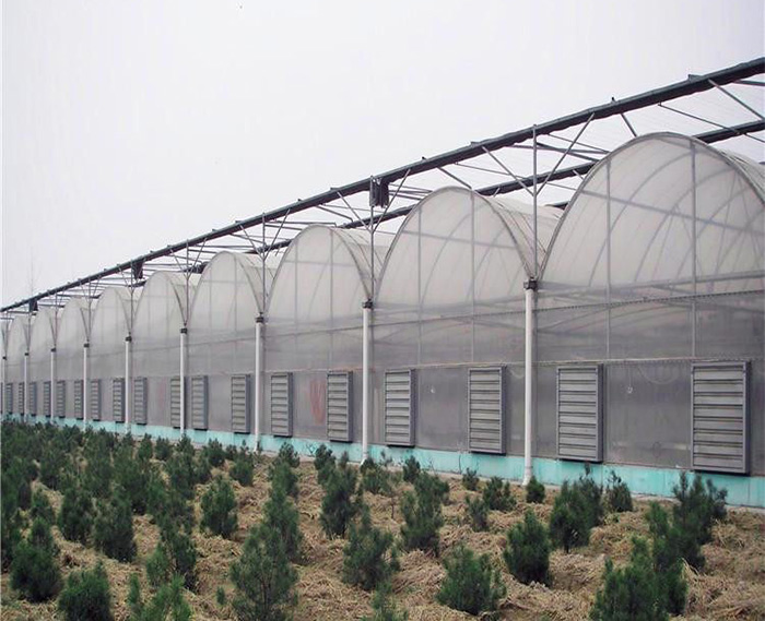 連棟薄膜溫室骨架公司