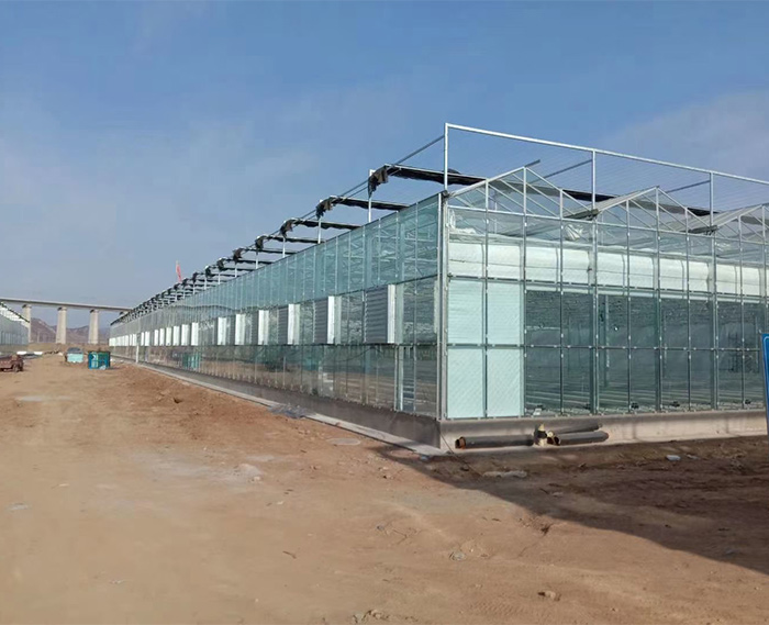 玻璃溫室廠家