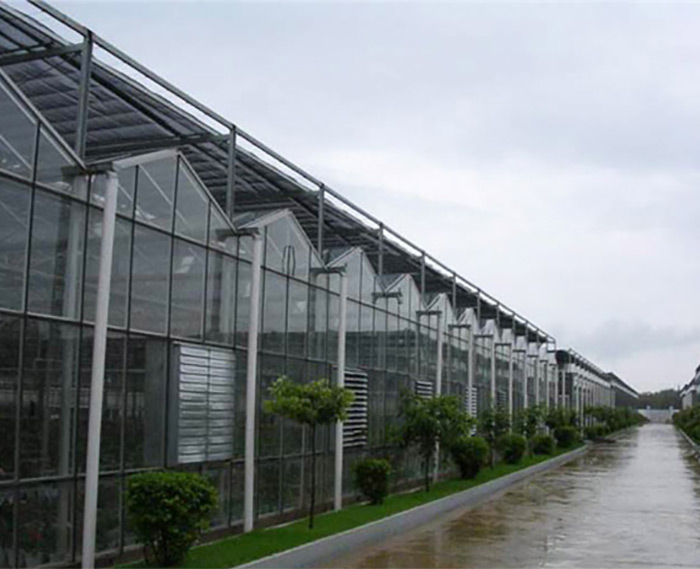 連棟玻璃溫室