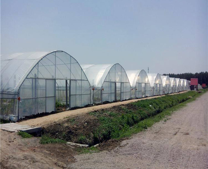 連棟溫室骨架廠家