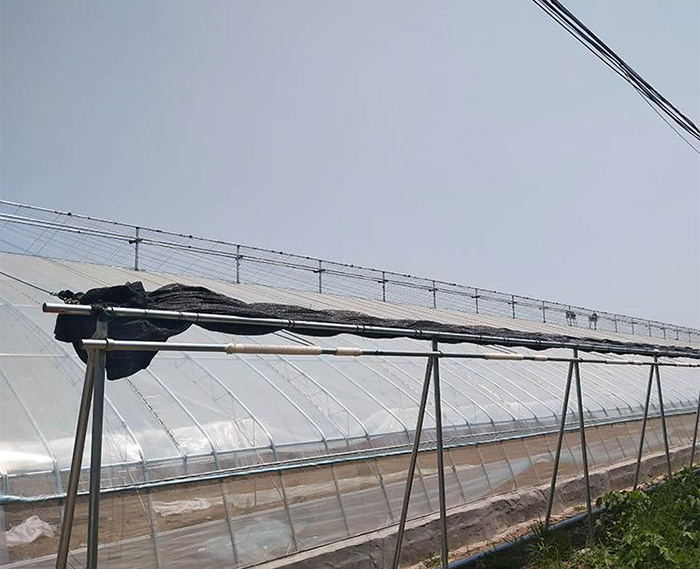 日光溫室骨架
