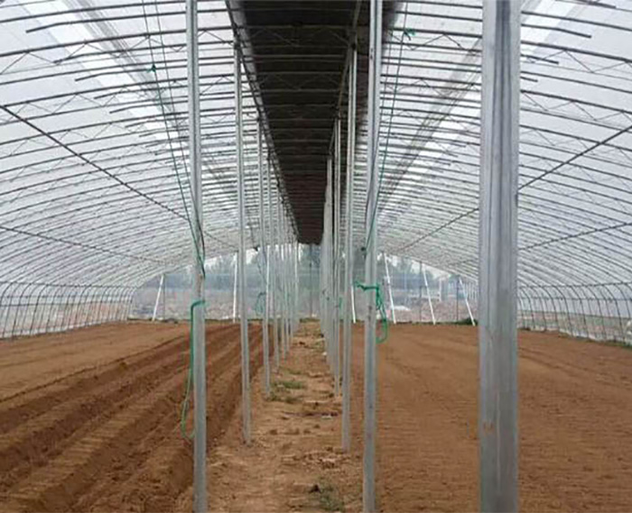 日光溫室大棚骨架廠家