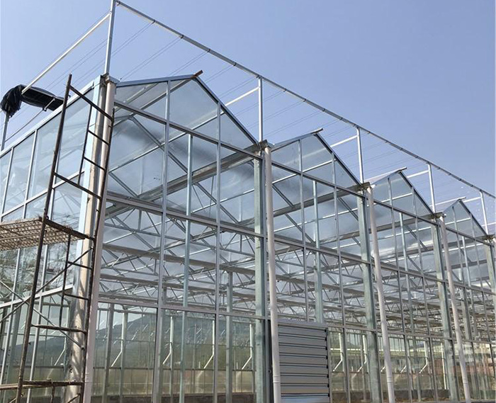 玻璃連棟溫室骨架
