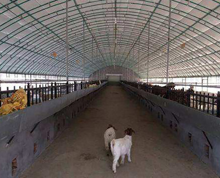 新型養(yǎng)殖大棚