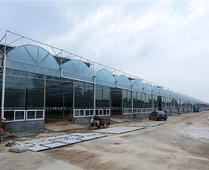 連棟智能溫室大棚