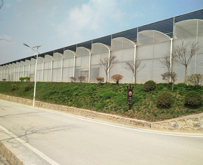 新型智能溫室