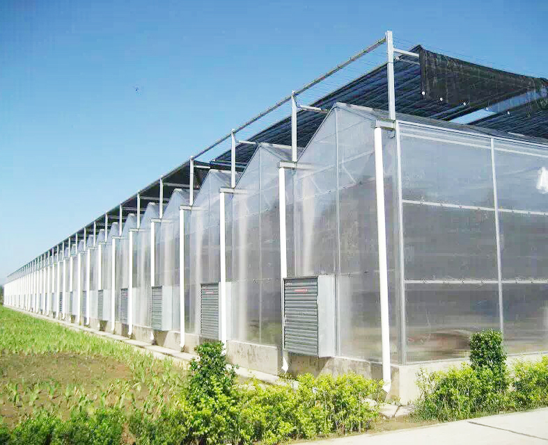 陽光板溫室骨架