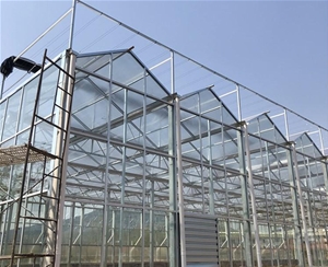 玻璃連棟溫室骨架