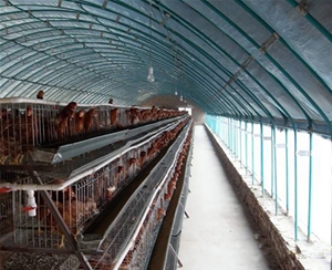 養(yǎng)殖溫室大棚