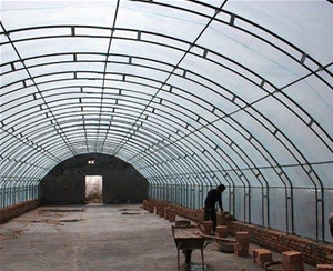 養(yǎng)殖溫室大棚工程
