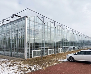 玻璃溫室工程