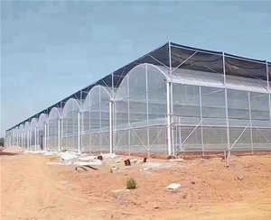 連棟薄膜溫室