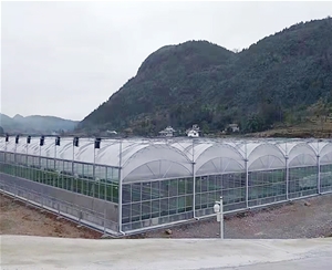 雙層膜溫室骨架